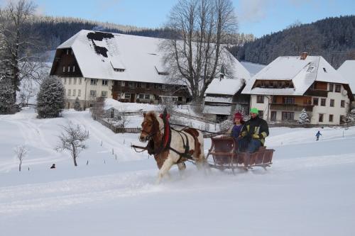 Fallerhof im Winter