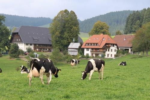 Fallerhof
