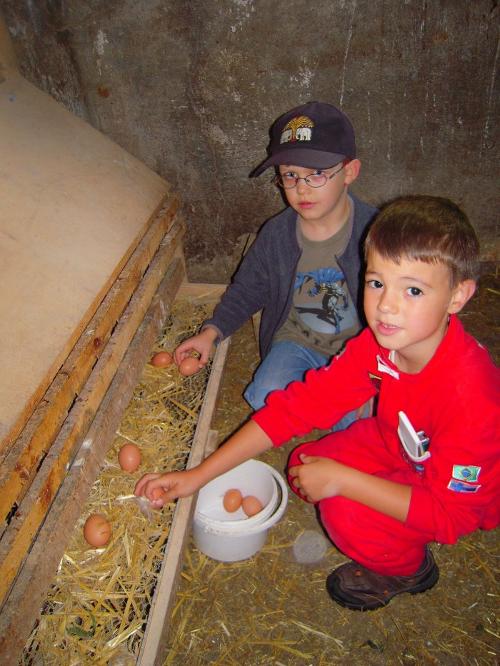 Kinder beim Eiersammeln