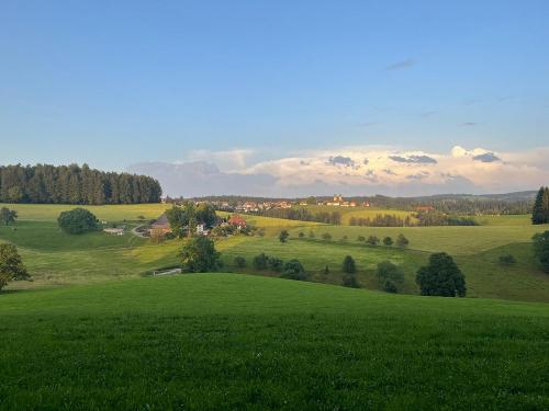 Noch mehr Grün, im Hintergrund St. Märgen