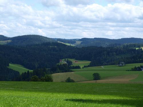Blick ins Steinbachtal