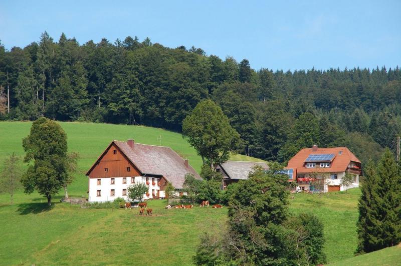 Baschijörgenhof - dein Urlaub auf dem Bauernhof