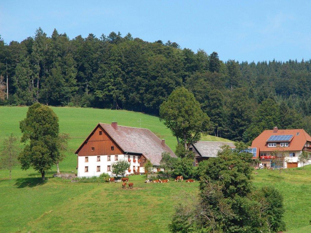Urlaub auf dem Bauernhof