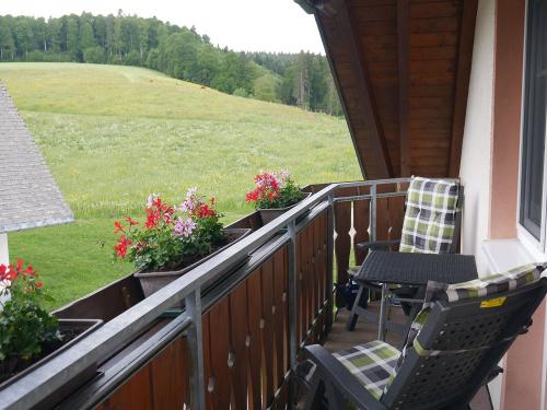 Balkon Fewo Vogelsang