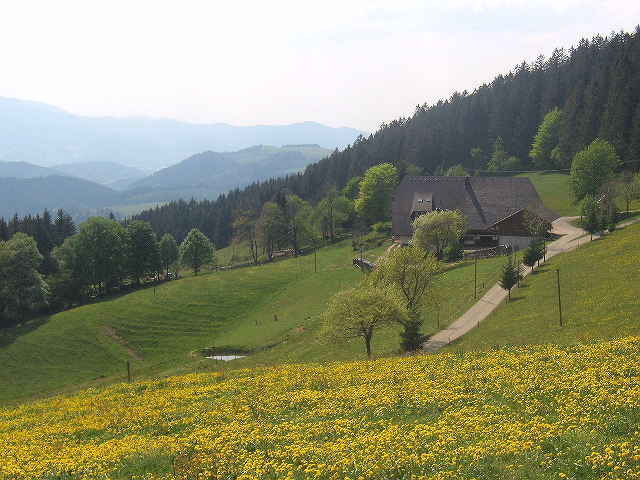 Kapfenmathishof