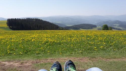Frühlingsblick von Relaxliege am Kapfenberg