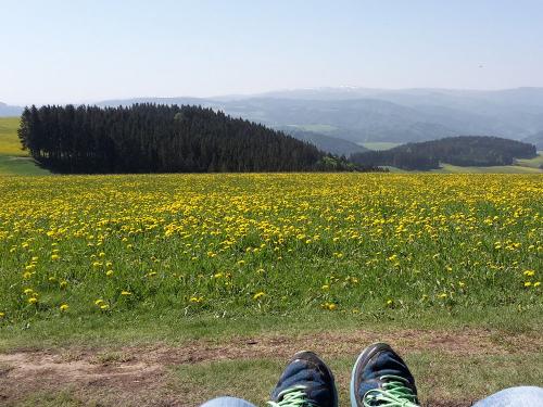 Frühlingsblick von Relaxliege am Kapfenberg