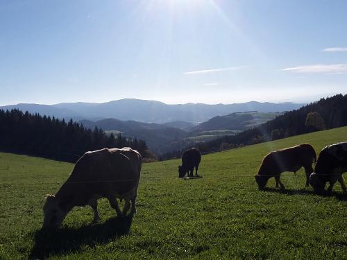 20171011_164656-scaled