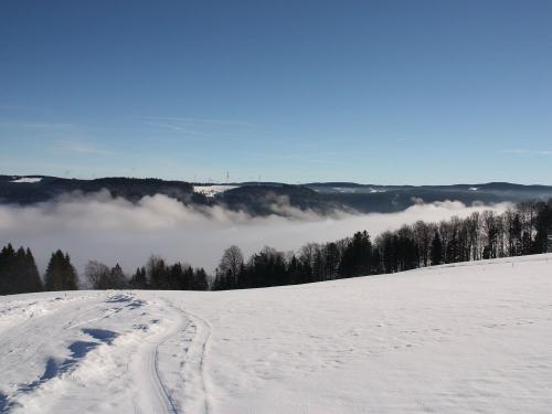 Über dem Nebelmeer