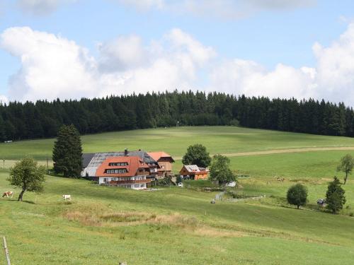 Mitten in der Natur