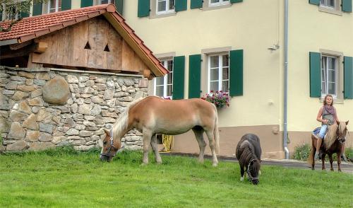 bauernhofschneider_tiere