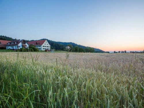 bauernhofschneider_umgebung2