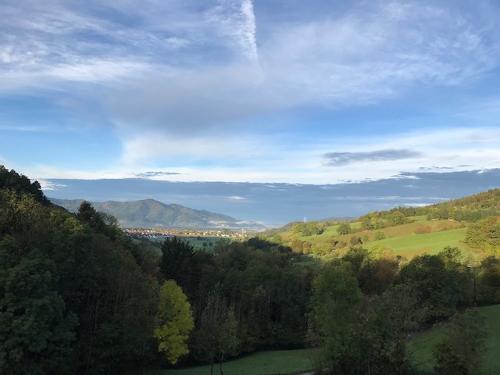 Blick ins Dreisamtal