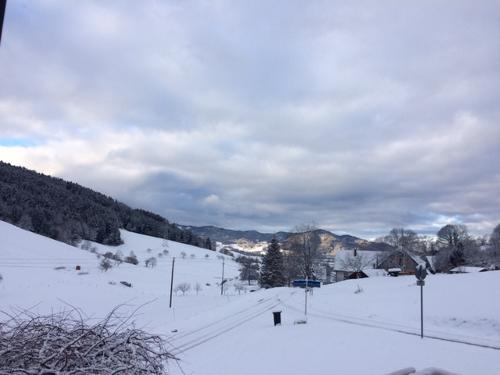Im Winter