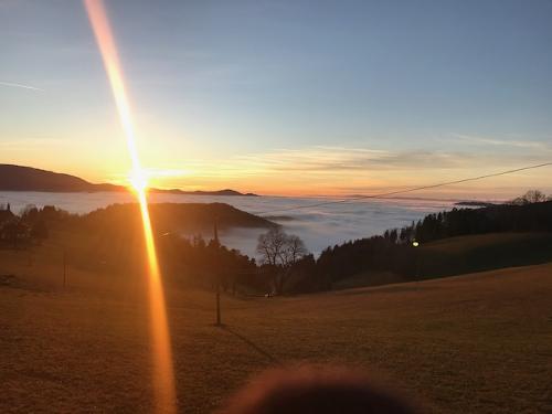 Ueber dem Nebelmeer