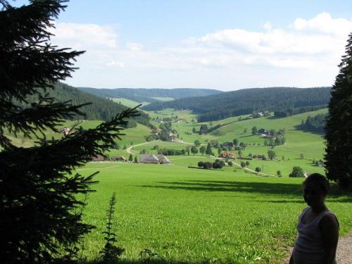 Blick ins Tal