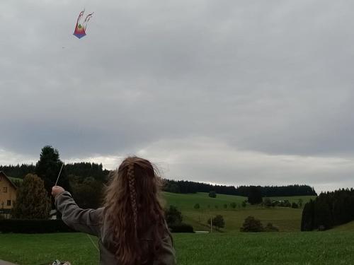 Drachen steigen im Herbst