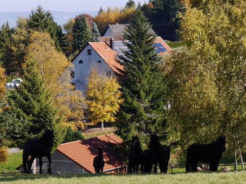 Haus mit Pferdeweide