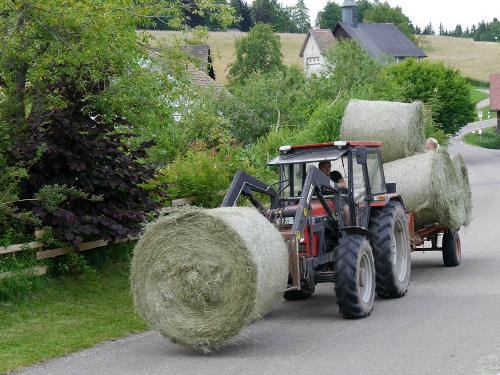 Simon beim Heutransport