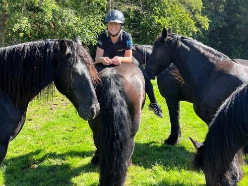 Alena mit den Friesen 2025