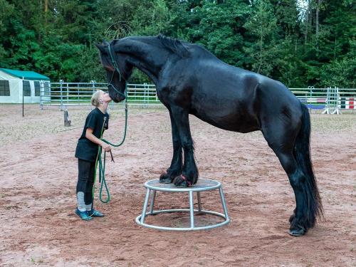 Alena bei der Bodenarbeit