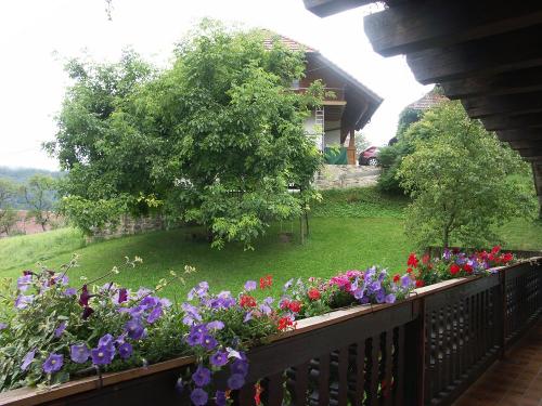 Blick vom Balkon