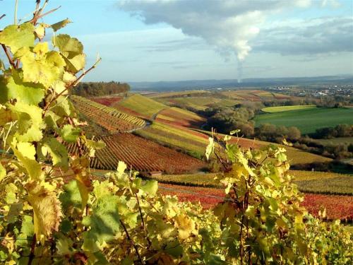 Weinlandschaft Zabergau