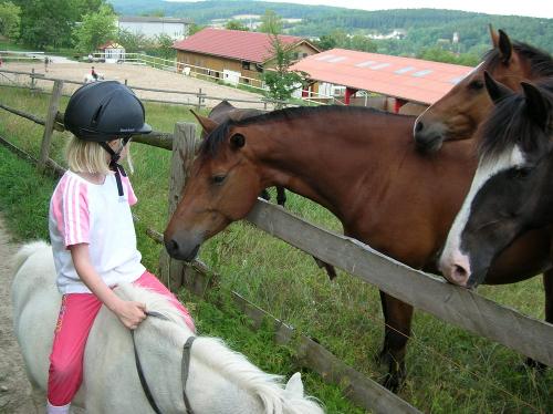 Ponyausritt