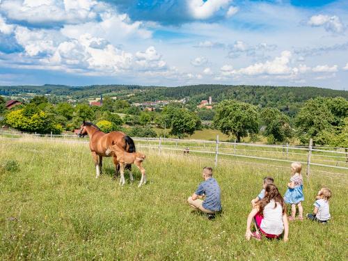 hügelige Umgebung des Ferienhof Pfeiffer