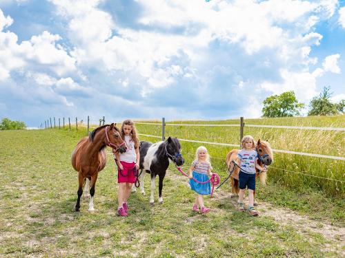 Ponys holen