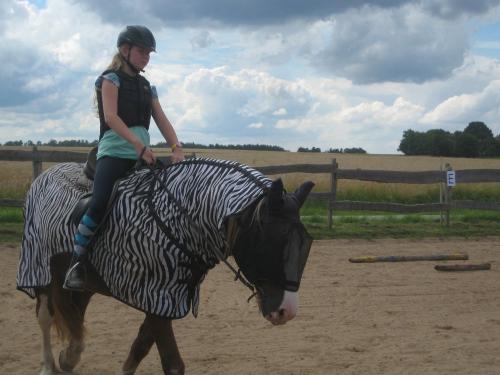 Reitunterricht Lotte