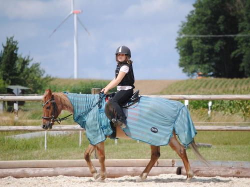 reitunterricht
