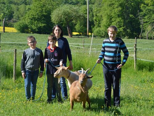 unsere Ziegen