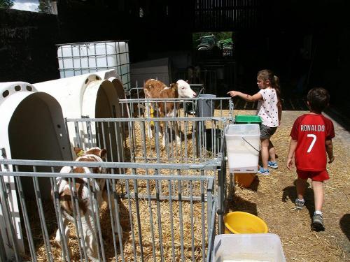 Hofrundgang beim Nachbarn