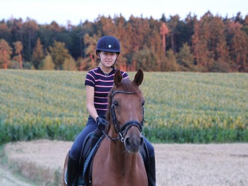 reiten