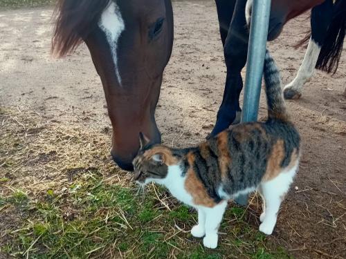 PHOTO-2025-10-07-14-08-42 Vila Happy