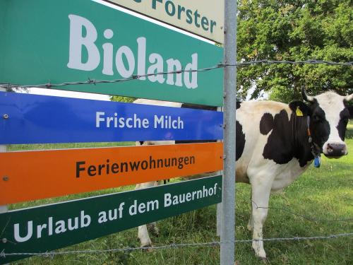 Hofschild