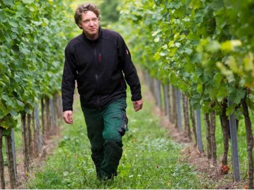 Weingut Lutz - Manuel Lutz