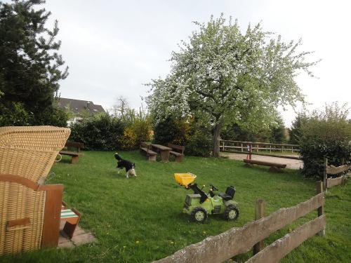 Grillplatz mit Reitplatz