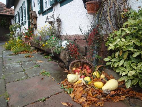 Herbst auf dem Kastanienhof