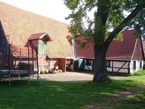 unser Kinderfuhrpark mit Riesentrampolin