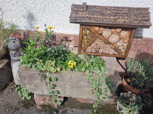 Insektenhotel im Hof