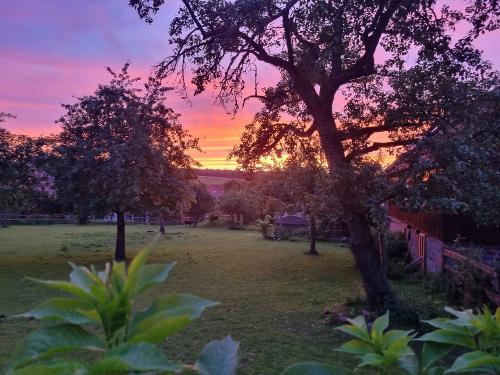 Sonnenuntergang, Blick vom Grillplatz