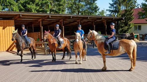 urlaubsreiterhof.de_0033