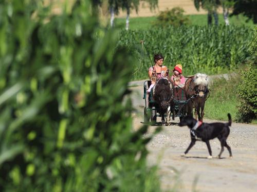 Wendelin & Ferdinand