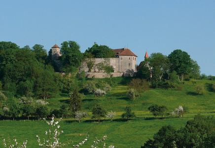 Die Tannenburg