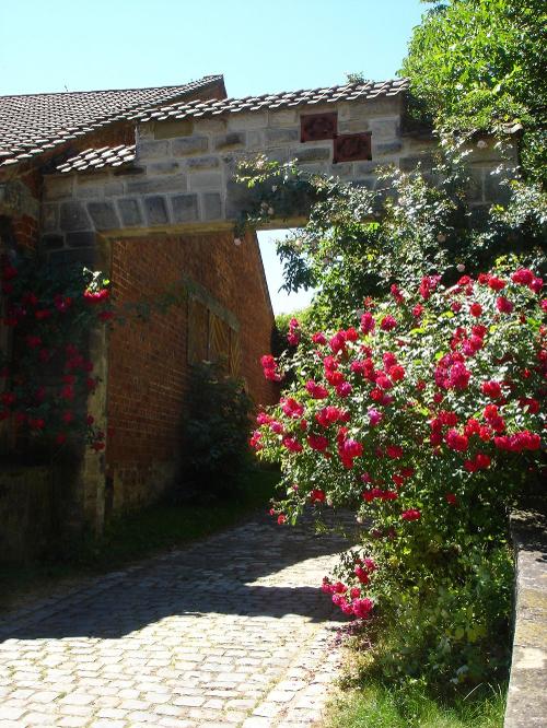 Der erste Torbogen im Sommer