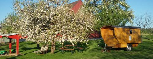 Fruehling