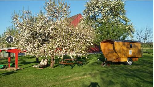 ferienhof_bohn_obstwiese