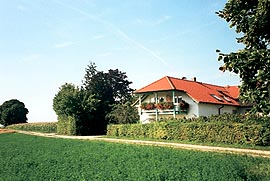 537aichele